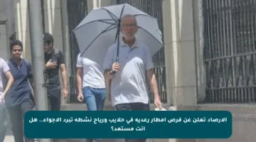 الأرصاد تعلن عن فرص أمطار رعدية في حلايب ورياح نشطة تبرد الأجواء.. هل أنت مستعد؟